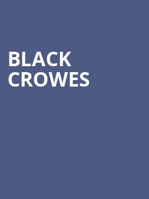 Black Crowes Poster