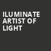 iLuminate Artist of Light, Mayo Civic Center Presentation Hall, Rochester