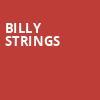 Billy Strings, Blue Cross Arena, Rochester